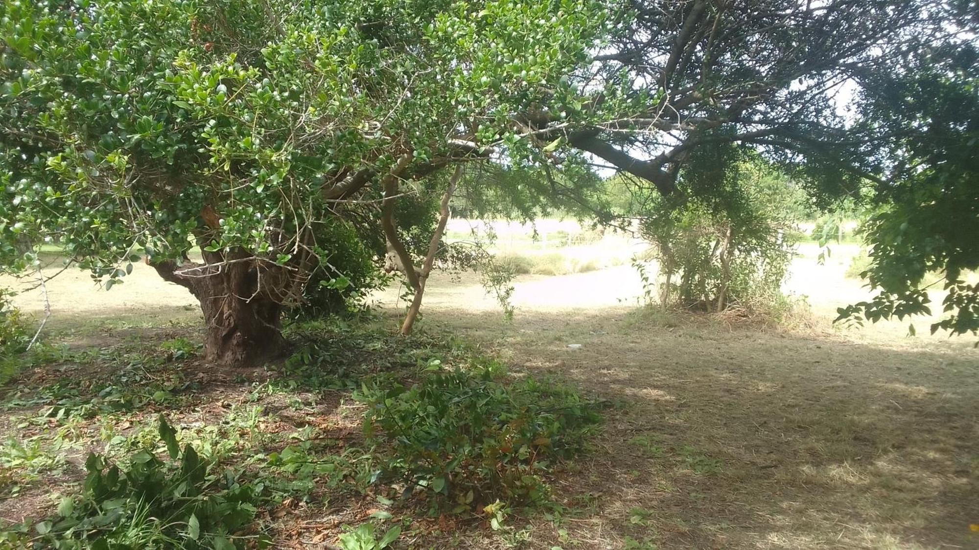 Holiday home La Casita Del Bosque