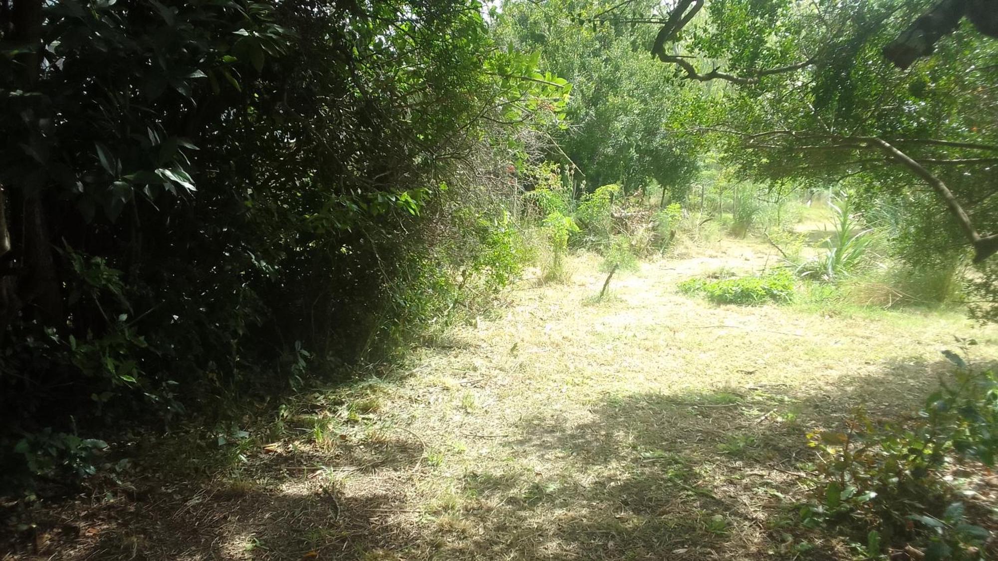 La Casita Del Bosque Punta Indio